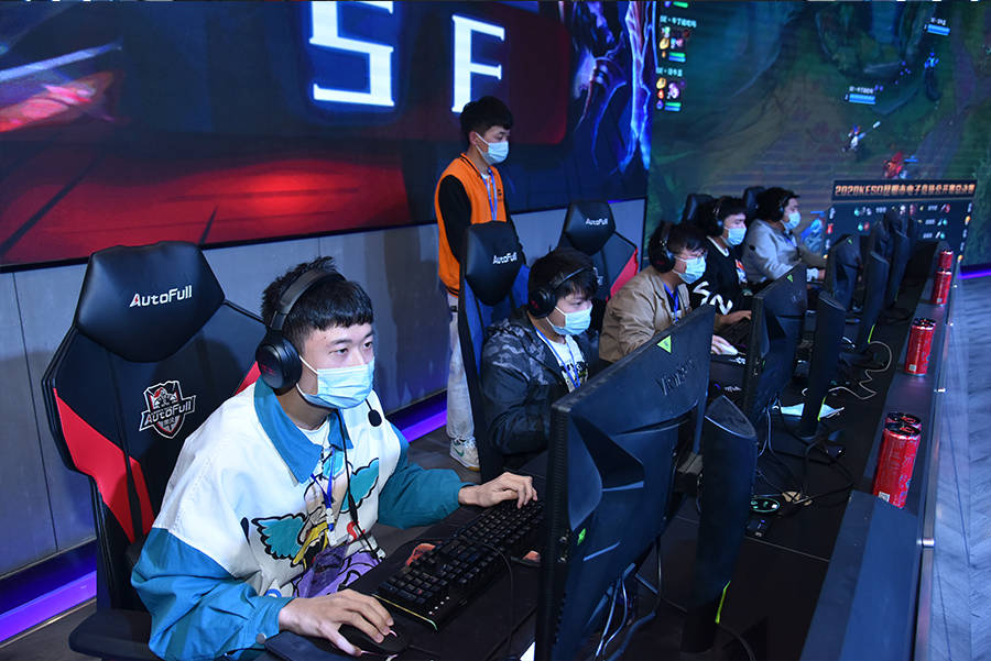 术体系构建 术体系构建