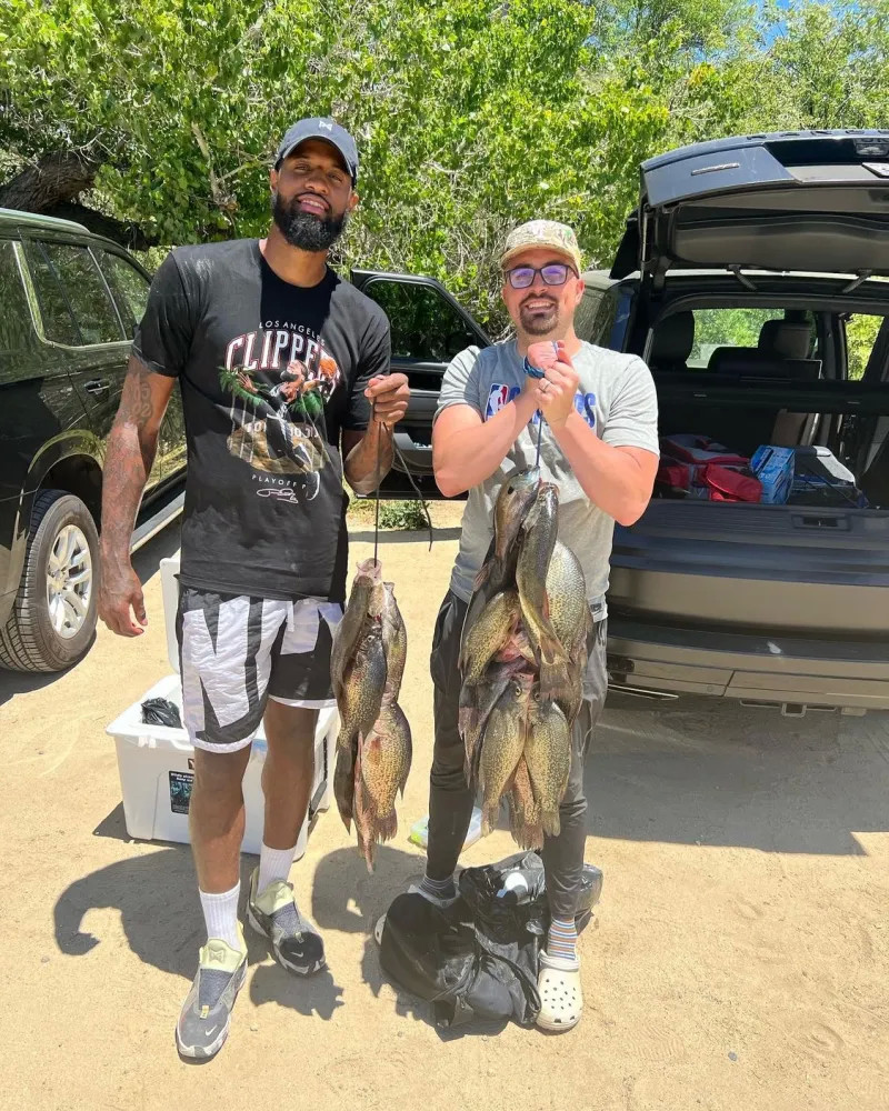 上真正主导 上真正主导